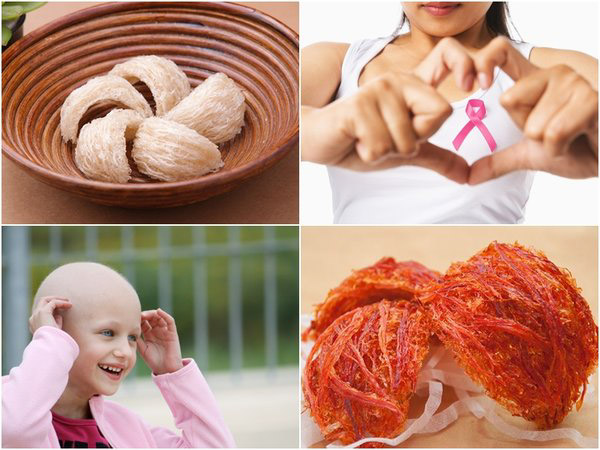 Tác dụng của hồng yến đối với bệnh ung thư dạ dày